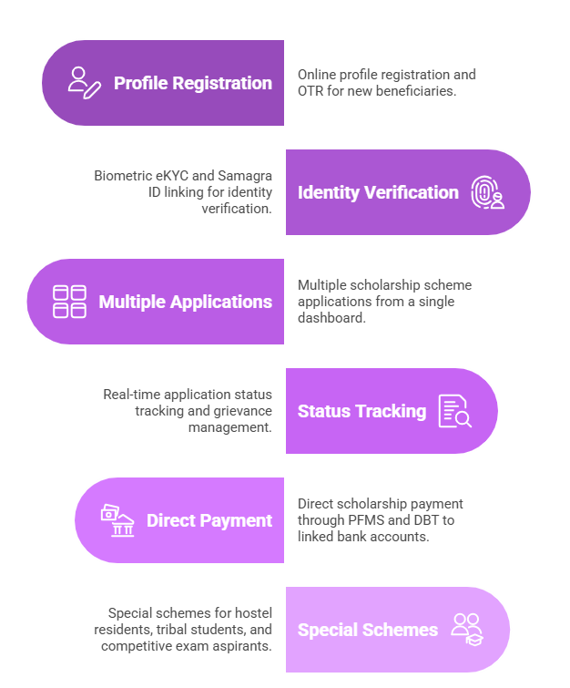 Key Features of the MPTAAS Portal